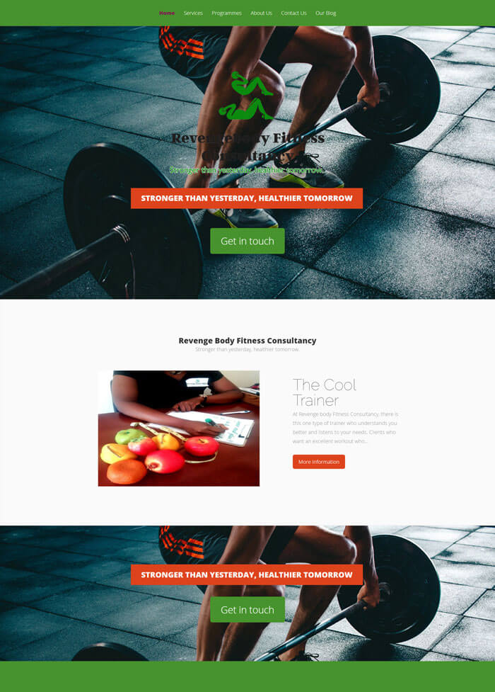 web design project for revengebody